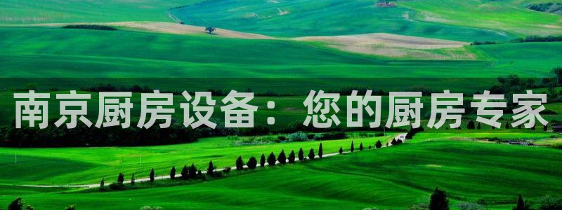 尊龙凯时官网首页：南京厨房设备：您的厨房