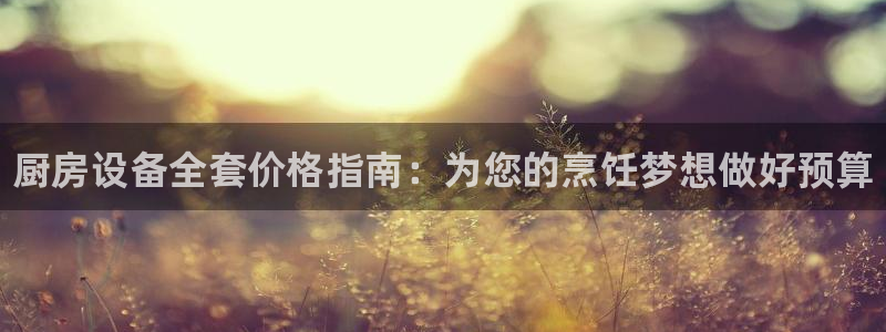 尊龙凯时取款一直支付中:厨房设备全套价格指南:为您的烹饪梦想