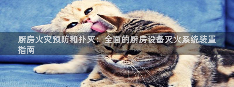 尊龙官方网站首页：厨房火灾预防和扑灭：全面的厨房设备灭火系统