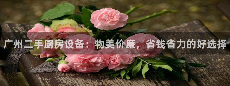 尊龙凯时登陆：广州二手厨