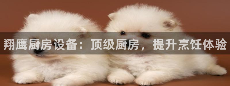 尊龙官网免费下载：翔鹰厨房设备：顶级厨房，提升烹饪体验