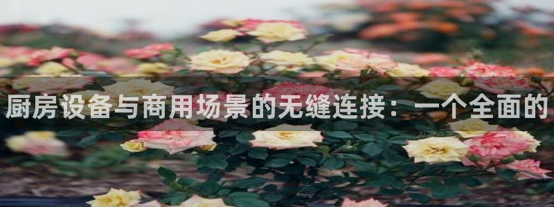 尊龙凯时平台有没有不到账的