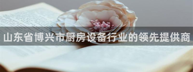 尊龙内地：山东省博兴市厨