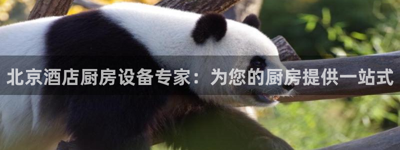 尊龙凯时的钱能退回来吗：