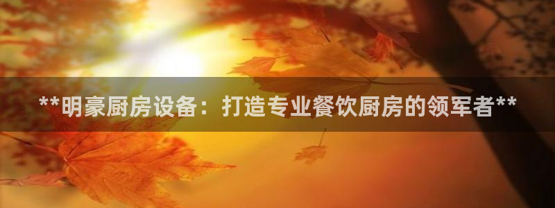 尊龙凯时百万奖池：**明豪厨房设备：打造专业餐饮厨房的领军者