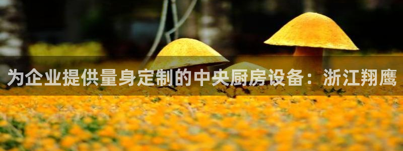 尊龙AG发财网：为企业提