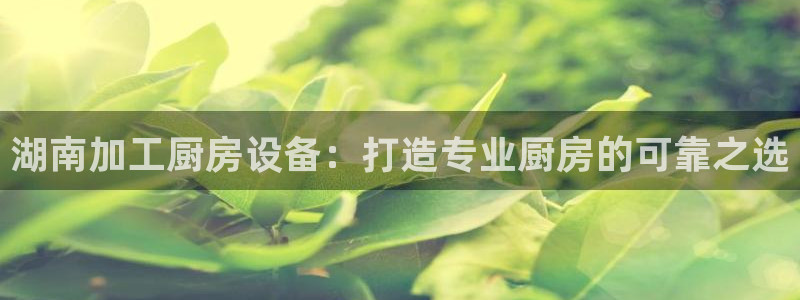 尊龙登录：湖南加工厨房设备：打造专业厨房的可靠之选
