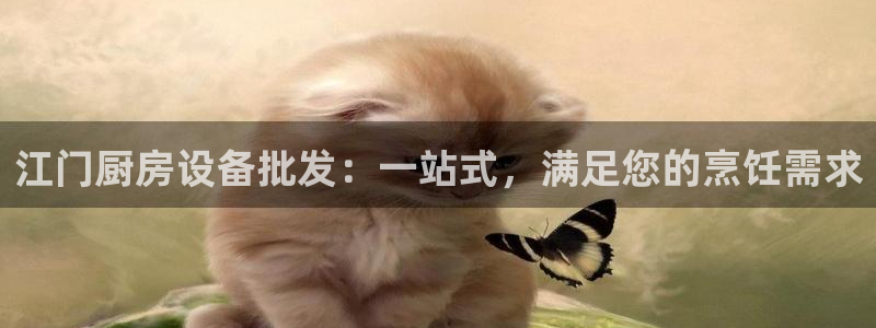 尊龙人生就是博登陆：江门厨房设备批发：一站式，满足您的烹饪需