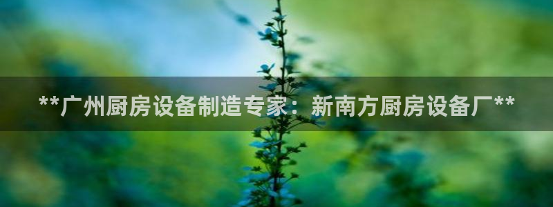 尊龙集团有限公司招聘：**广州厨房设备制造专家：新南方厨房设