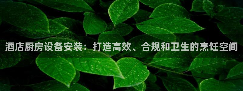 尊龙实业：酒店厨房设备安装：打造高效、合规和卫生的烹饪空间
