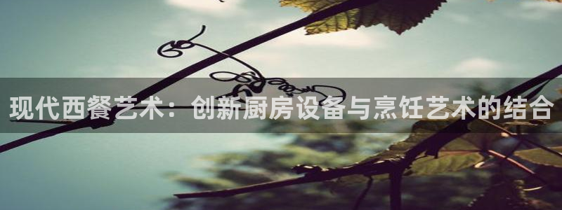 尊龙app怎么样