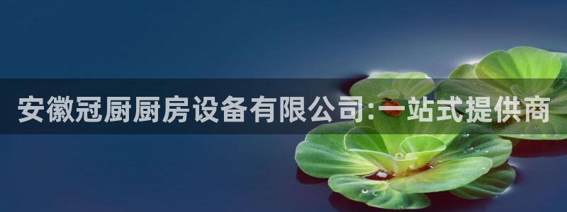 尊龙凯时网站不让提款