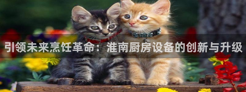 尊龙官方平台是正品吗