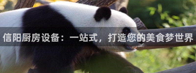 尊龙凯时网站赌愽做假吗