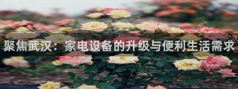 尊龙集团官网
