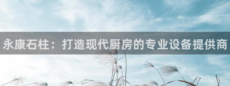 尊龙凯时ag旗舰厅官网客